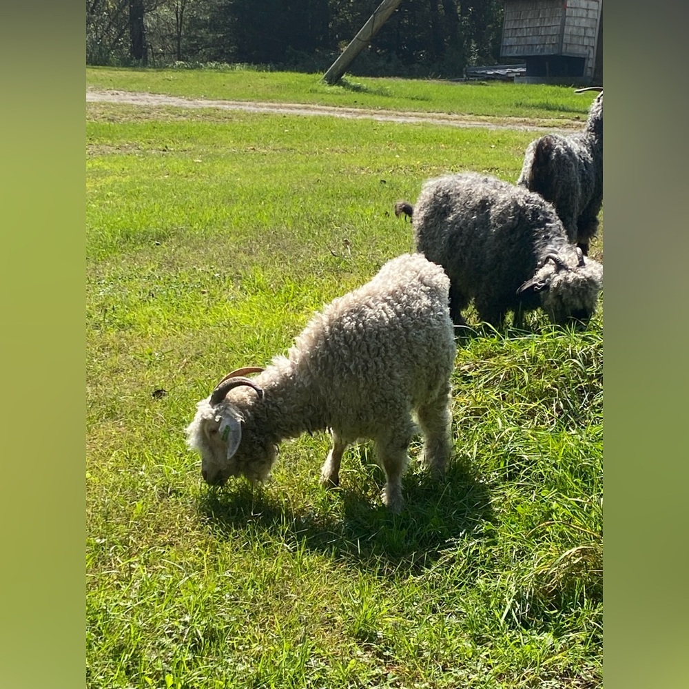 Meet your Poshers at Bungalohill.